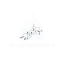Betulinic acid methyl ester | CAS 2259-06-5