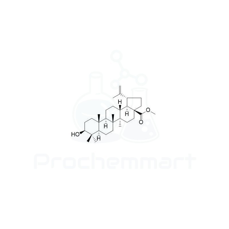 Betulinic acid methyl ester | CAS 2259-06-5