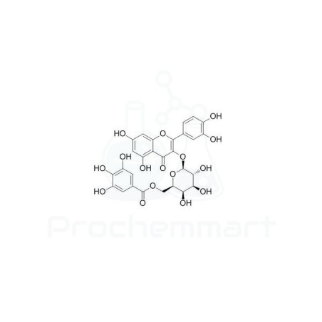 Quercetin 3-O-(6''-galloyl)-beta-D-galactopyranoside | CAS 53171-28-1
