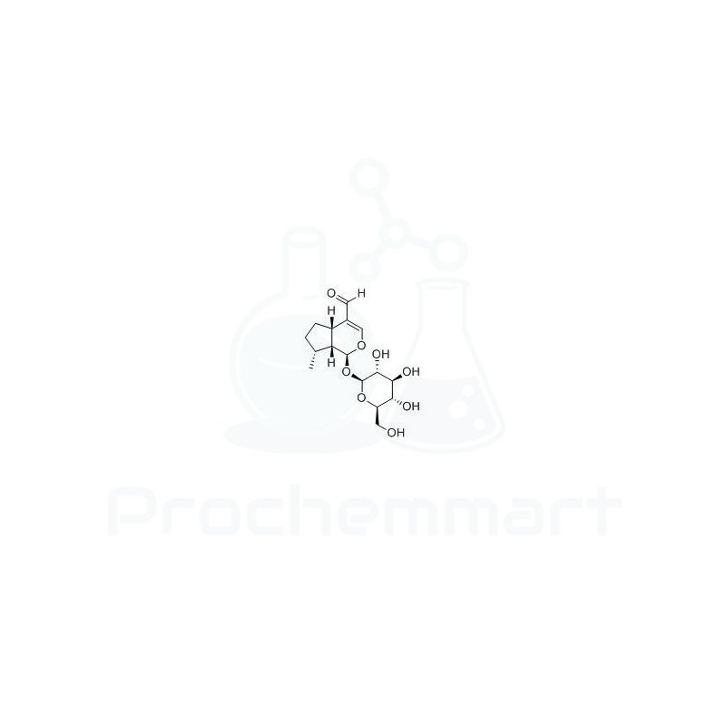 Boschnaloside | CAS 72963-55-4