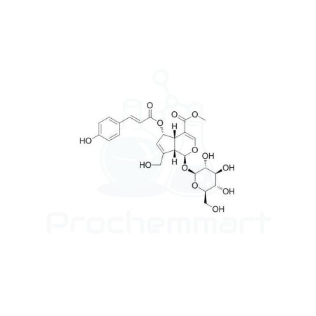 (E)-6-O-(p-coumaroyl)scandoside methyl ester | CAS 83946-90-1