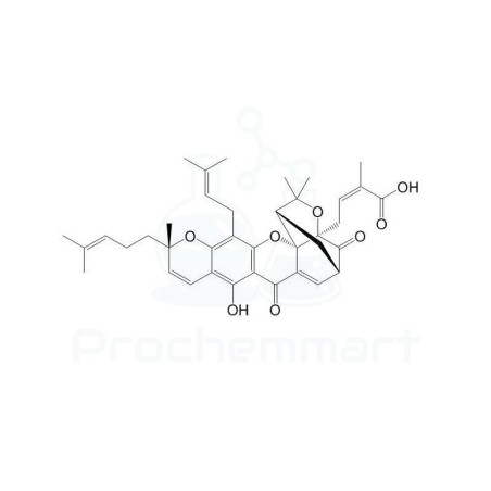 Epigambogic acid | CAS 887606-04-4
