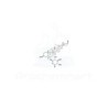Neochlorogenin 6-O-β-D-quinovopyranoside | CAS 711025-86-4