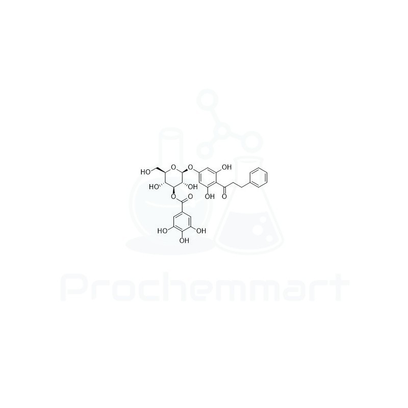 2',4',6'-Trihydroxydihydrochalcone 4'-O-(3''-O-galloyl)glucoside | CAS 1885097-49-3